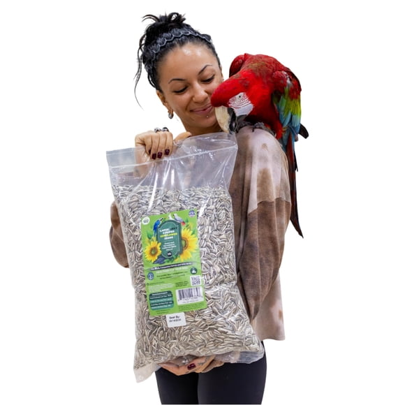 Semillas de girasol rayadas Nemeth Farms, bolsa de 2.27 kg para aves