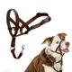 thumbnail image 1 of Collar de cabeza Halti talla 2 Nogal profundo – Collar de adiestramiento, 1 of 4