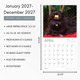 thumbnail image 4 of Calendario PACIFIC WATERS PRESS 12x24 Shih Tzus 2027, 4 of 9