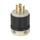 thumbnail image 1 of Enchufe Eléctrico Leviton 20A 120/250V Sin Tierra con Bloqueo, 1 of 1