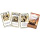 thumbnail image 3 of Juego de cartas dV Giochi Bang The Great Train Robbery, 3 of 6