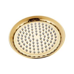 Bothyi - Cabezal De Ducha Tipo Lluvia Fácil De Instalar Ducha Retro Resistente Acero Inoxidable Dorado