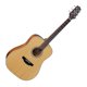 thumbnail image 1 of Guitarra acustica Takamine GD20 NS, 1 of 4
