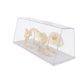 thumbnail image 4 of Esqueleto De Conejo, Modelo De Hueso De Animal, Material Didáctico De Biología Científica, 4 of 5