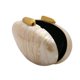 thumbnail image 5 of Monedero de mano DEBIMY Shell acrílico de noche para mujer, color champán, 5 of 7