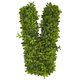 thumbnail image 5 of Decoración de pared artificial Nearly Natural LOVE de boj, 5 of 9