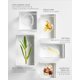 thumbnail image 5 of Hidratante Facial Noble Panacea 30 Dosis, 5 of 9