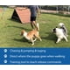 thumbnail image 3 of Juguete interactivo para perros Flirt Pole Dewonch con cuerda de forro polar, 3 of 6