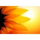 thumbnail image 1 of Prueba Gtin0, 1 of 1