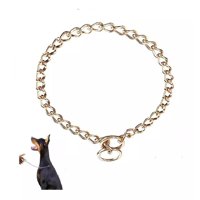 Defensor - Correa De Adiestramiento Metálico, Para Perro 70 Cm, Color Dorado