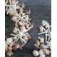 thumbnail image 2 of Vaso Seashells Home, tamaño mediano, mezcla de colores blancos, tostados y rosas, 2 of 7