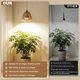 thumbnail image 4 of Luz de cultivo ZorpOrigin 30W LED con temporizador, 4 of 8
