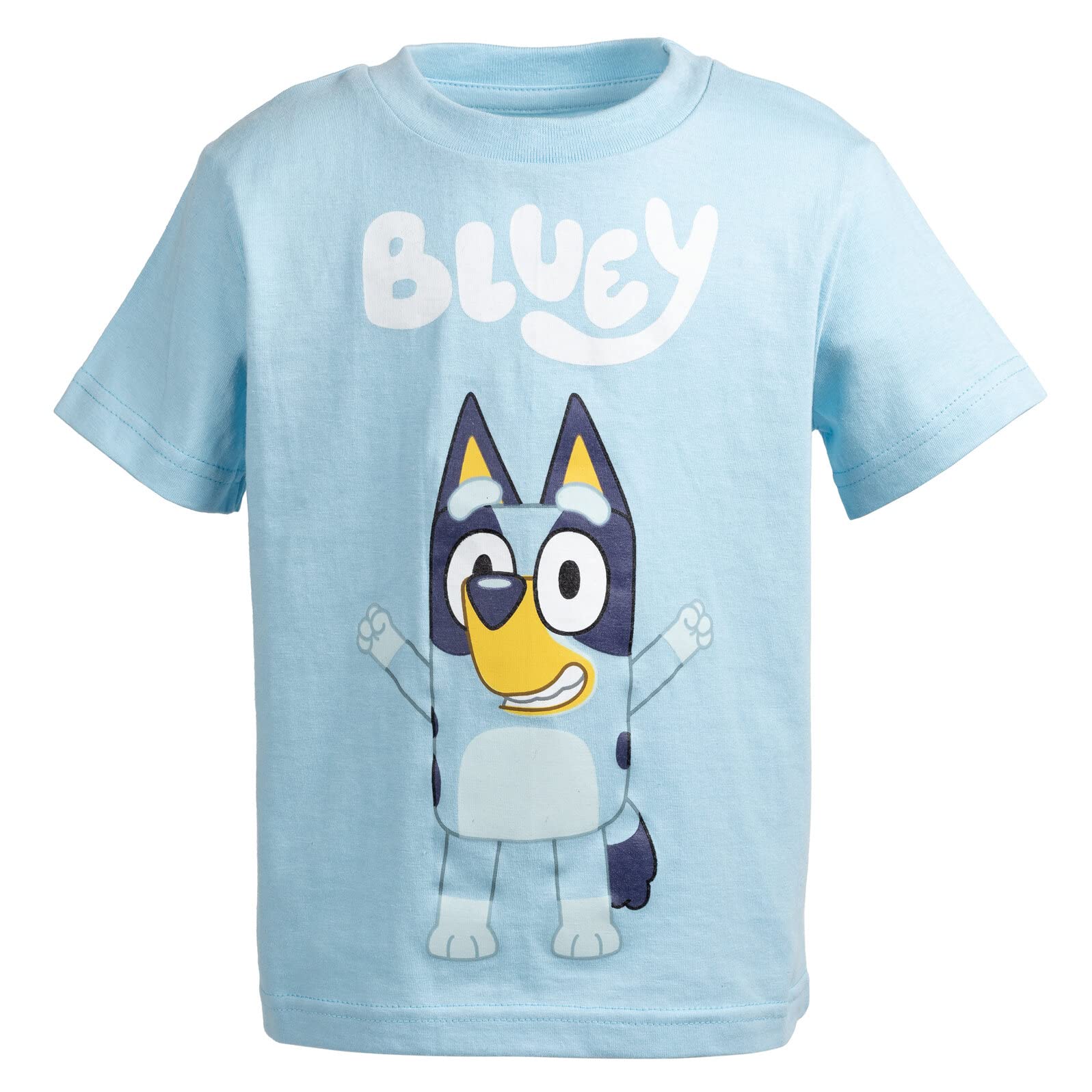 Camiseta Bluey Big Boys Graphic 18-20 Años