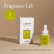 thumbnail image 3 of Recarga de difusor inteligente LAFCO New York Pura Rosemary Eucalyptus, 3 of 3