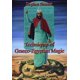 thumbnail image 1 of Libro Llewellyn: Técnicas de la Magia greco-egipcia, 1 of 3