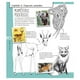 thumbnail image 4 of Colorpedia de los animales blanco, 4 of 4