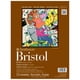 thumbnail image 1 of Bristol Strathmore 35 cm × 43 cm, 15 hojas, vellum, 1 of 1