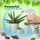 thumbnail image 3 of Spray repelente de roedores Mighty Mint, aceite de menta, 240 ml, 3 of 7