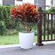 thumbnail image 2 of Macetero autorregante Erika 31, 2 of 3