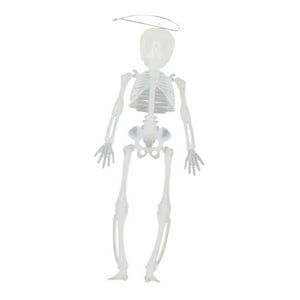 Genérico - Decoración De Esqueleto De Halloween, Esqueletos De Articulaciones Móviles De Cuerpo Completo Para Vacaciones Luminosas
