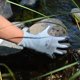 thumbnail image 2 of Guantes de protección Wells Lamont 499L Large Coolmax PU, 2 of 2