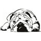 thumbnail image 1 of Decomural English Bulldog Pets Dogs WS-19172, 1 of 2
