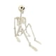 thumbnail image 1 of Esqueleto Articulado De Halloween, Esqueleto Humano Realista, Accesorio Para Halloween, 1 of 5