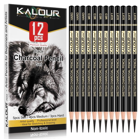 Set de lápices de carboncillo profesionales KALOUR, 12 unidades