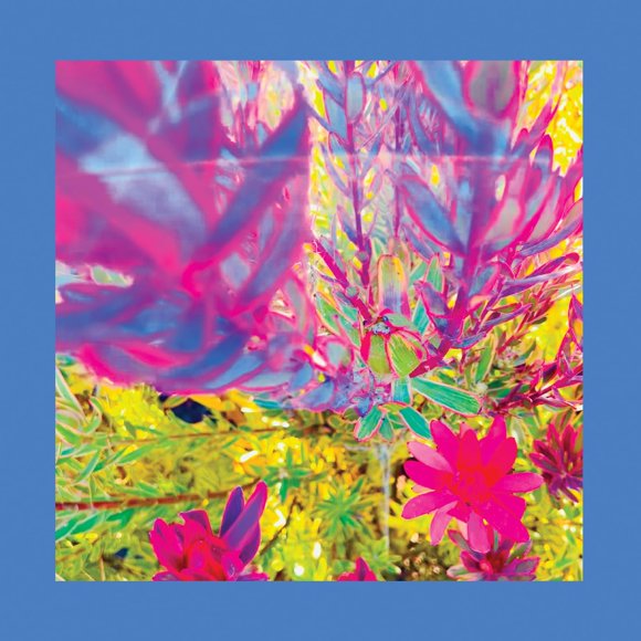 Música Redeye worldwide – The Past Is A Garden