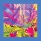 thumbnail image 1 of Música Redeye worldwide – The Past Is A Garden, 1 of 1