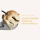 thumbnail image 3 of Spray Corporal Cacharel Vanilla Cotta 100 ml, 3 of 9