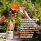 thumbnail image 4 of Château del ISH Espumante sin alcohol, vino blanco y champán sin alcohol, sin gluten, bajo en calorías, 0.0%, con uvas Airén desalcoholizadas, dulce y refrescante, botella de 750 ml, 4 of 7