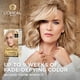 thumbnail image 2 of Tinte para el cabello L'Oreal Paris Superior Preference 8G Golden Blonde, 2 of 3