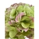 thumbnail image 2 of Hortensia Verde 45cm Con Textura Realista, 2 of 3