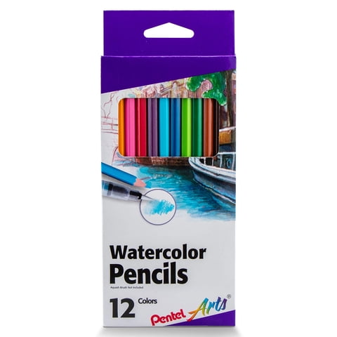 Set De 12 Lápices Acuarelables Pentel Cb9-12
