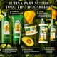 thumbnail image 5 of Shampoo Herbal Essences Sin Sal Nutre E Hidrata Pequi & Aguacate, 5 of 6