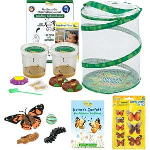 Kit De Mariposas Butterfly Garden Insect Lore Con Orugas Vivas