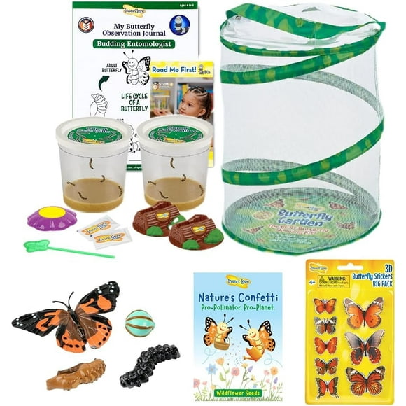 Kit de mariposas Butterfly Garden Insect Lore con orugas vivas