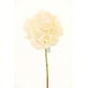 thumbnail image 1 of Hortensia Blanca 52cm Con Textura Realista, 1 of 2