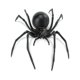 thumbnail image 1 of Figura Safari Ltd. Black Widow Spider, 16 cm, para niños mayores de 3 años, 1 of 6