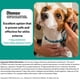 thumbnail image 2 of Pomada OTOMAX para Perros 15 g, 2 of 5