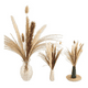 thumbnail image 1 of Pampas secas 65 uds plantas decorativas, 1 of 3
