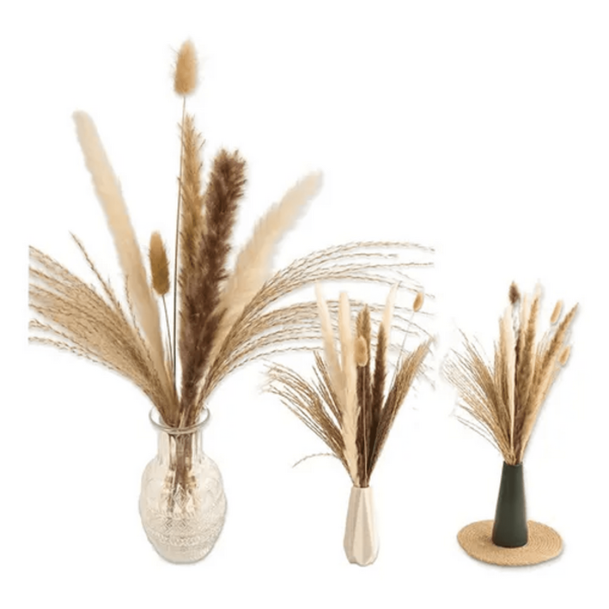 Genérico - Pampas Secas 65 Uds Plantas Decorativas