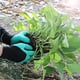 thumbnail image 5 of Guantes de jardinería Family Claw para mujeres que plantan (verde/morado), 5 of 6