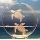 thumbnail image 5 of Plantillas para grabado en vidrio Armour Etch Criaturas Marinas 13x20 cm, 5 of 6