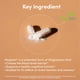 thumbnail image 2 of Suplemento Double Wood L-treonato de Magnesio 2000 mg 100 Cápsulas, 2 of 3