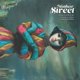 thumbnail image 1 of Música S. MATTHEW SWEET – Tomorrow Forever, 1 of 1