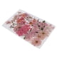 thumbnail image 5 of 36/37/38/39/42 Unid Natural Real Presionado Flores Secas DIY Scrapbook Rosa, 5 of 7