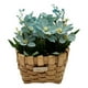 thumbnail image 1 of Planta Artificial Macetero Estilo Mimbre Flores Celestes, 1 of 4
