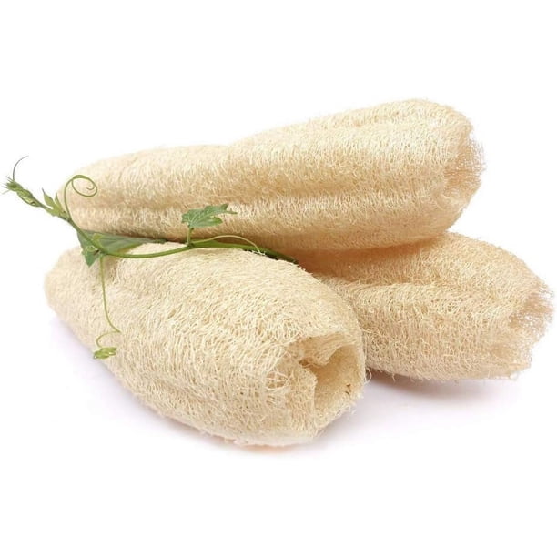 Estropajo vegetal grande de lufa natural para cocina, baño, exfoliante corporal, ducha, lufa, lufa, celulosa, biodegradable, compostable, cero residuos.